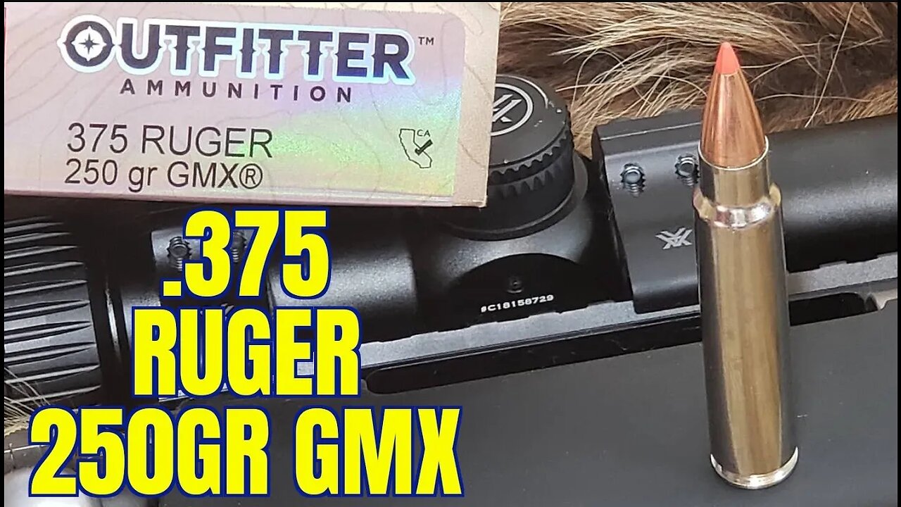 .375 Ruger Howa 1500 250gr GMX