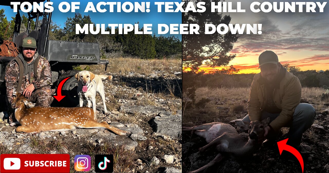 TONS OF ACTION! Texas Hill Country Hunting Part 3! First time hunter deer down and much more!