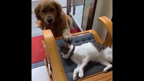 Best friends