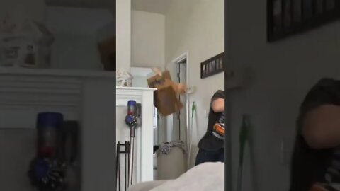 Pure karma