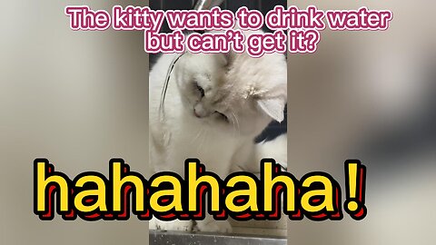 A cat that wants to drink water, but can't get it