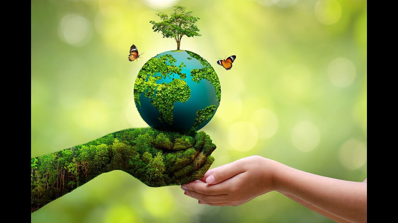 Do I like the environment?