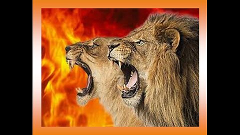 My Lionesses of Judah shall Roar 7/16/24