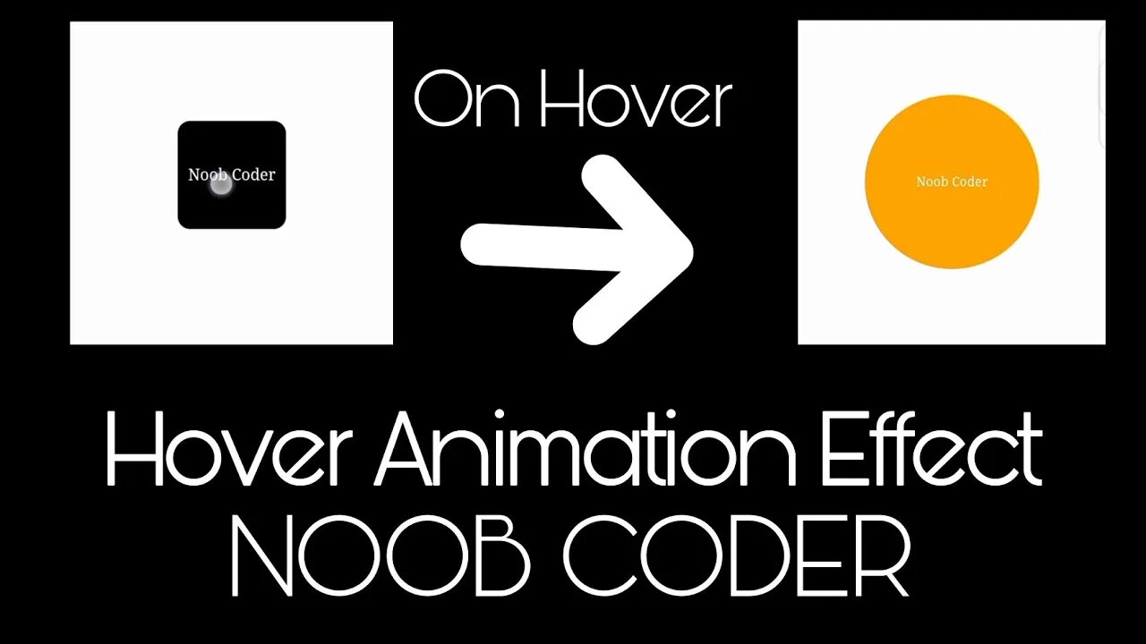 Hover Effect in CSS || Programming Using Phone.