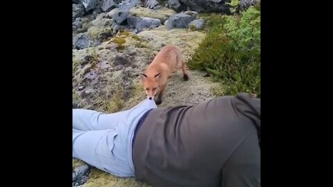 A curious visitor approaches the photographer and tries to bite