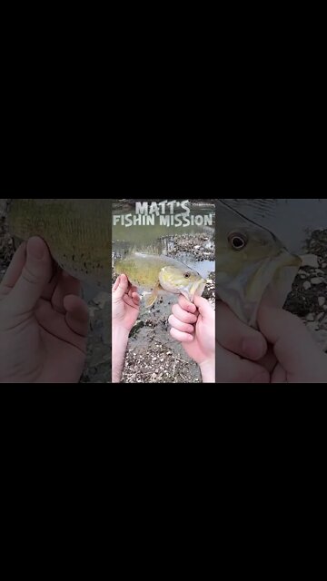 Fishing my buddy's home waters! First fish of the year. (short version)