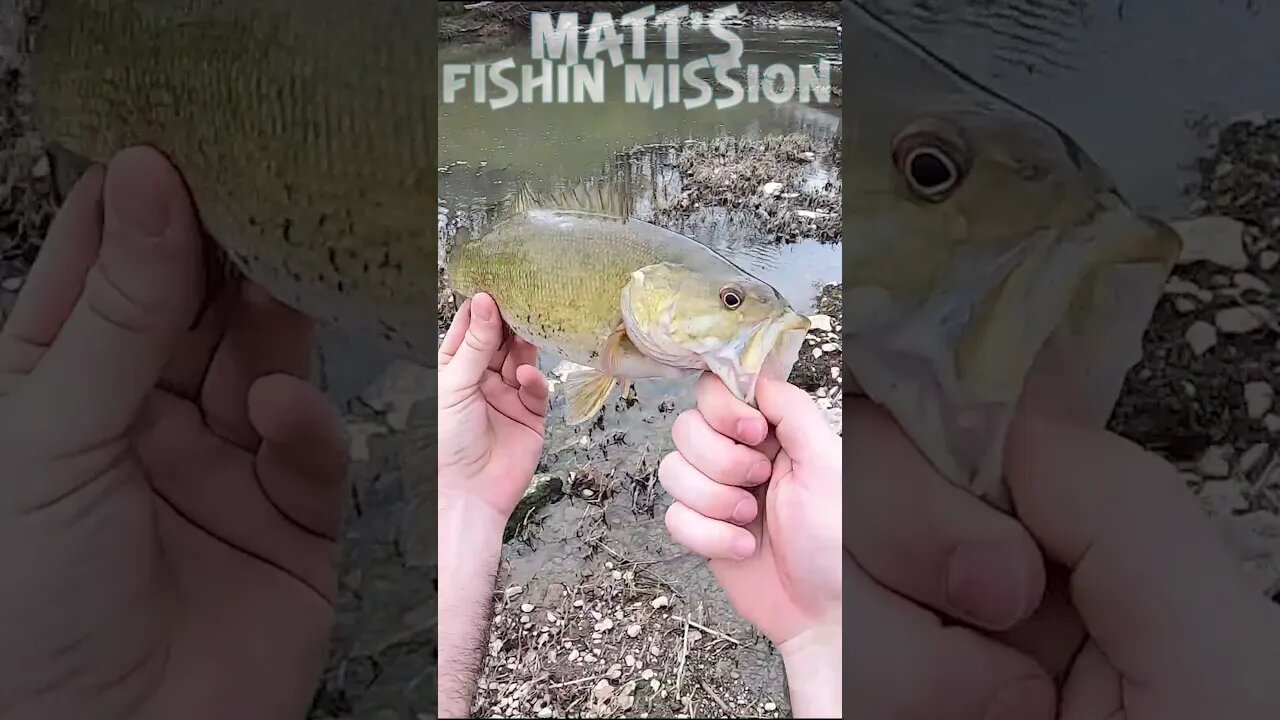 Fishing my buddy's home waters! First fish of the year. (short version)