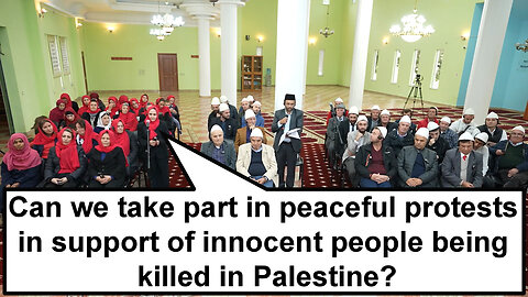 Can we take part in peaceful protests in support of innocent people being killed in Palestine?