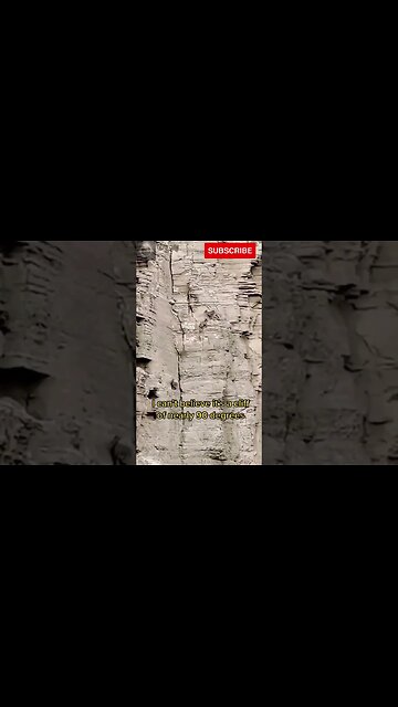 Exploring the Wonders of Wildlife: #shorts