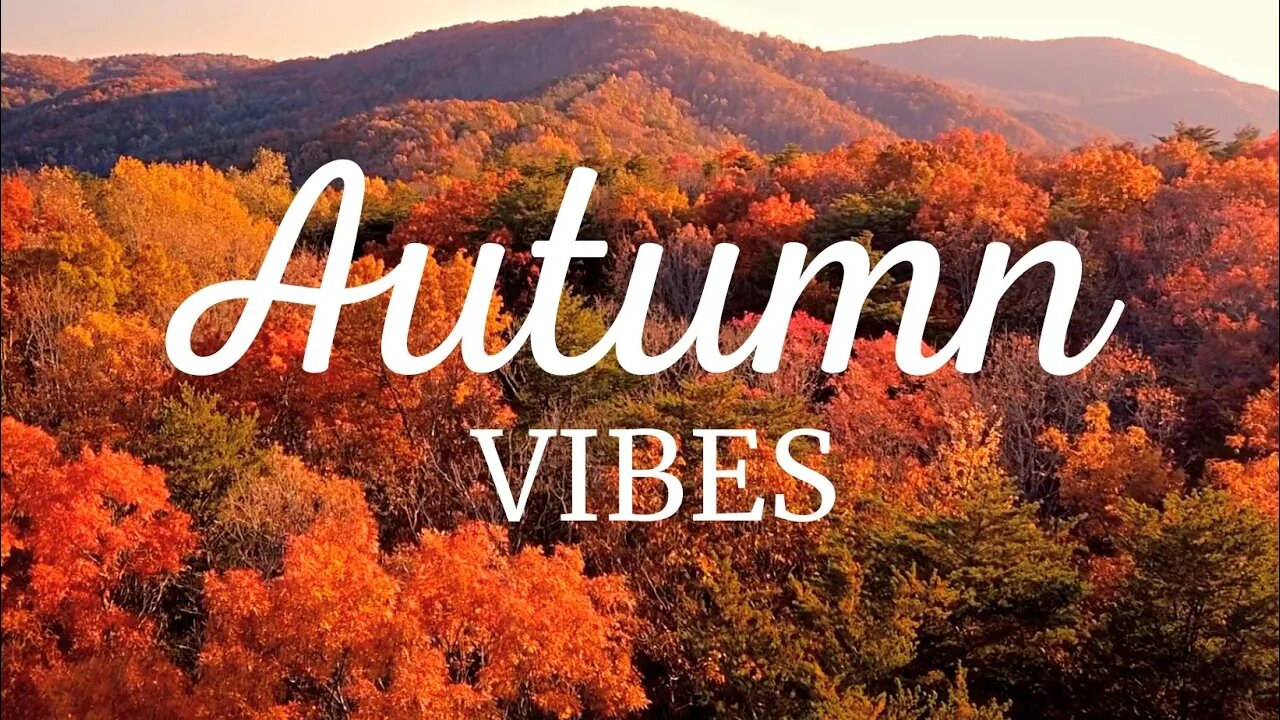 AUTUMN VIBES! Exhale with Nature & Piano #autumnlook #autumnmusic #autumnleaves #autumnchill #zen