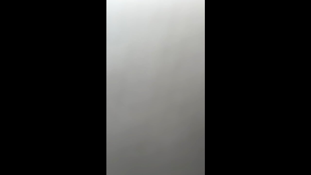The grey
