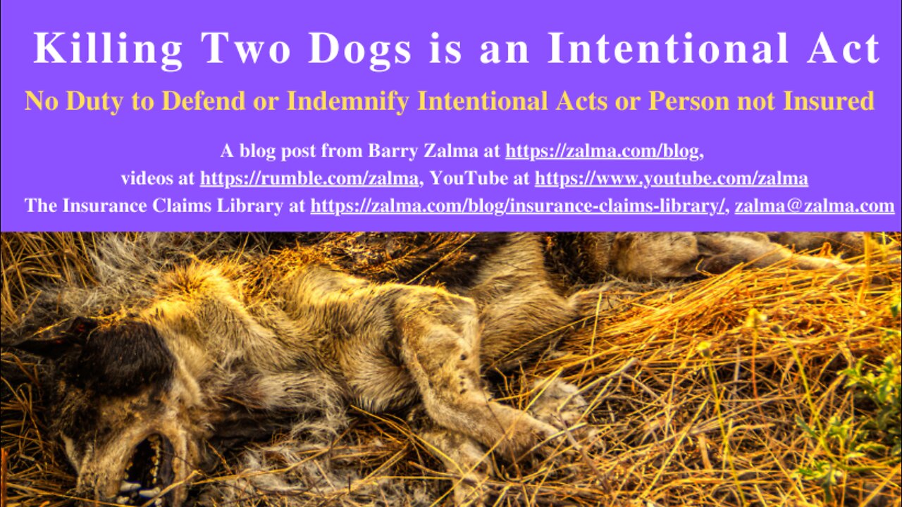 Killing Two Dogs is an Intentional Act