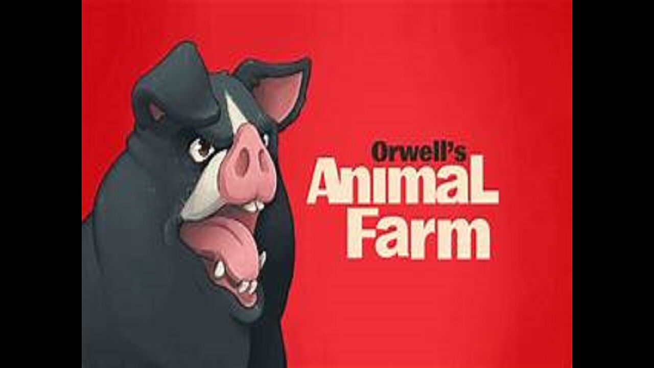 TECN.TV / Marxist Politicians Have Created Urban Animal Farms; The Poor & Children Suffer