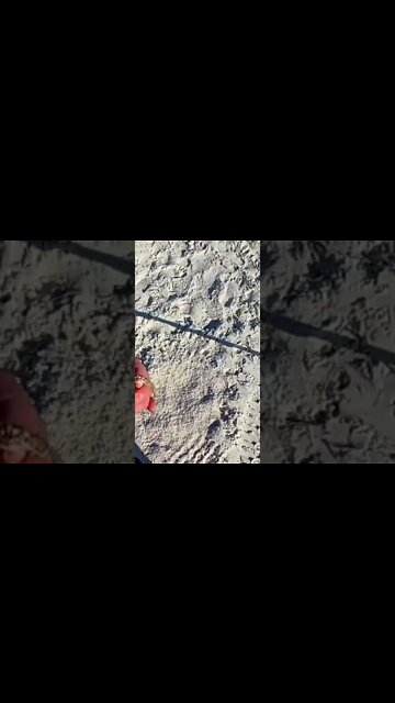 expensive gold #shorts