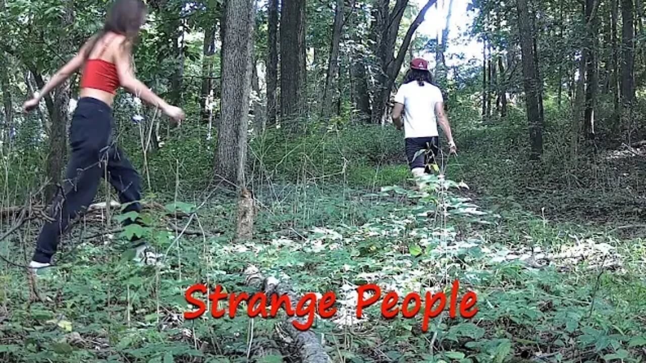 Strange People and Chicken Nightmares!