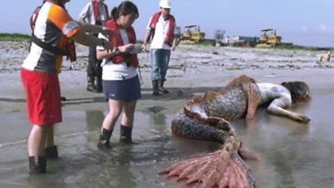 15 strangest things found on the beach