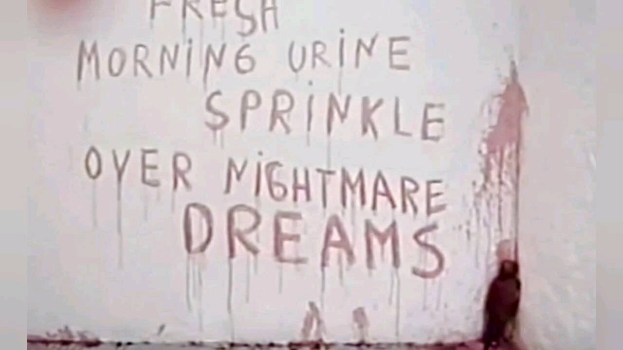 Adrenochrome FOLLOW THE WHITE RABBIT 🐸 #DDK