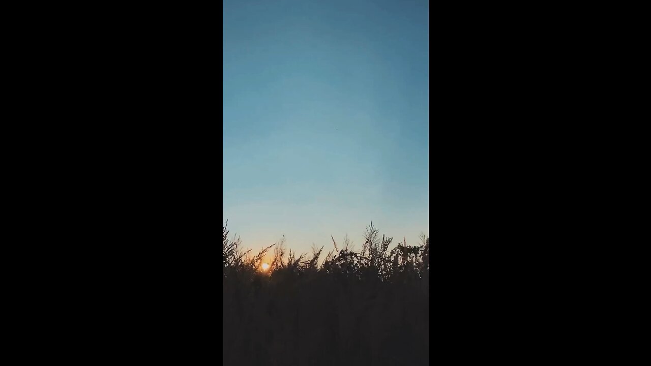 #Embrace