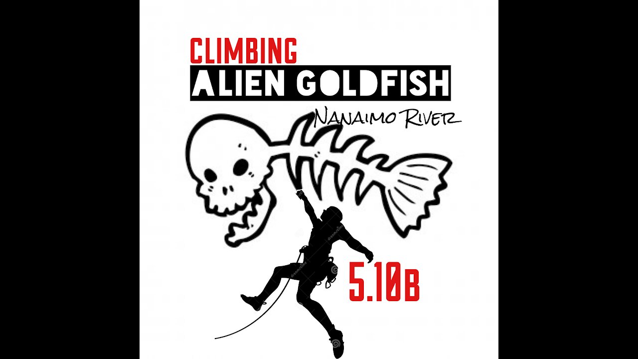Climbing Alien Goldfish 5.10b at the Trump Wall