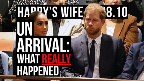 Harry´s Wife Part 98.10 United Nations Arrival : Video Analysis (Meghan Markle)