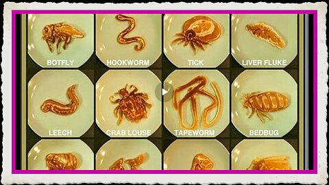 Dr. Lee Merritt - How To Rid Yourself Of Parasites 🦠