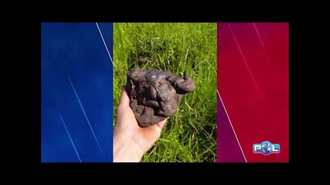 Video of a meteor fragment found in Iraí de Minas was a joke that went viral