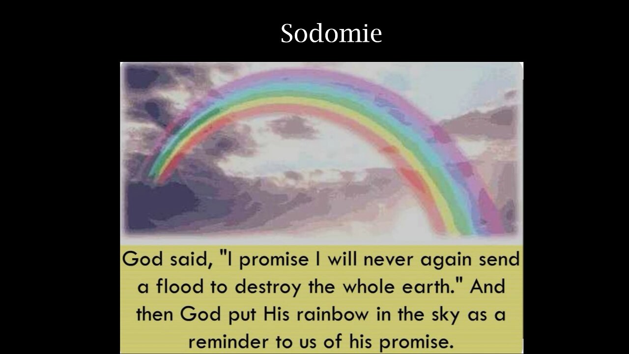 Sodomie