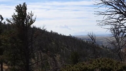 Cameron Fire Earlier This Morning