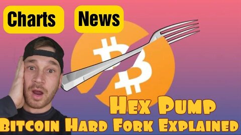 Charts, News, Possible Bitcoin Hard fork Bip 119, Hex Pump, Global Macro