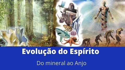 Evolução do Espírito