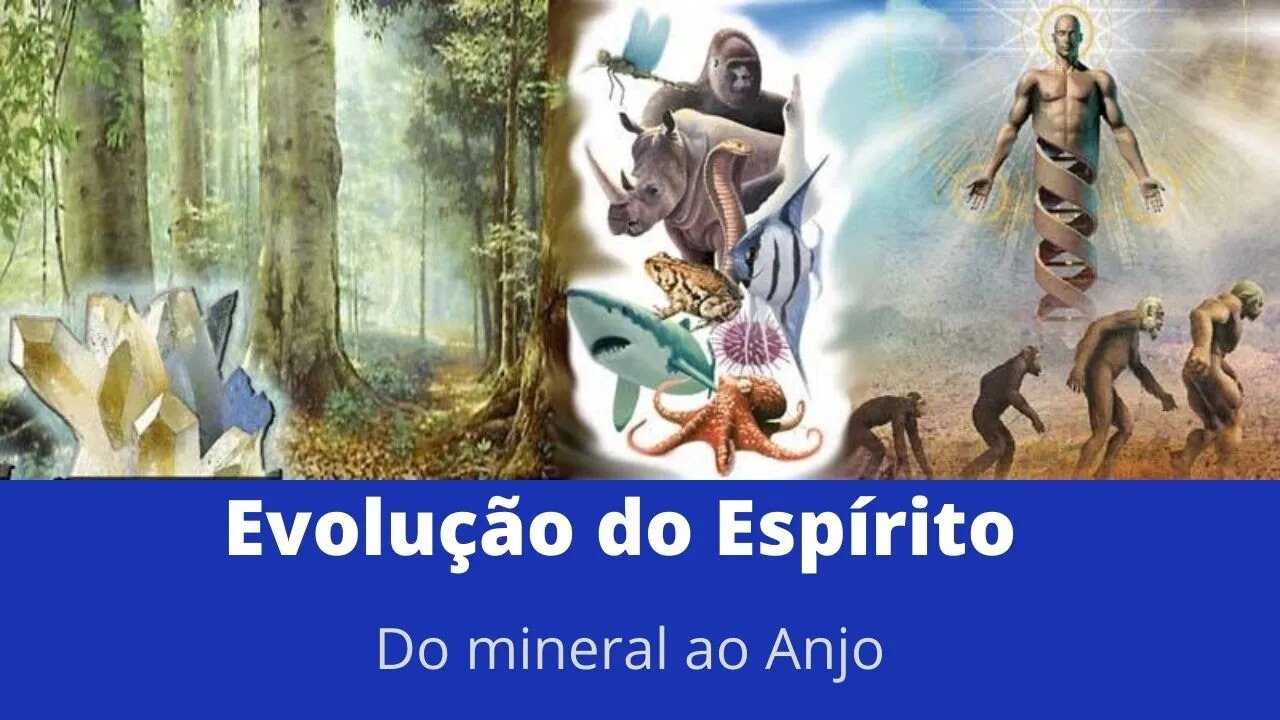Evolução do Espírito