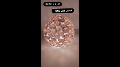 Amazing shell lamp