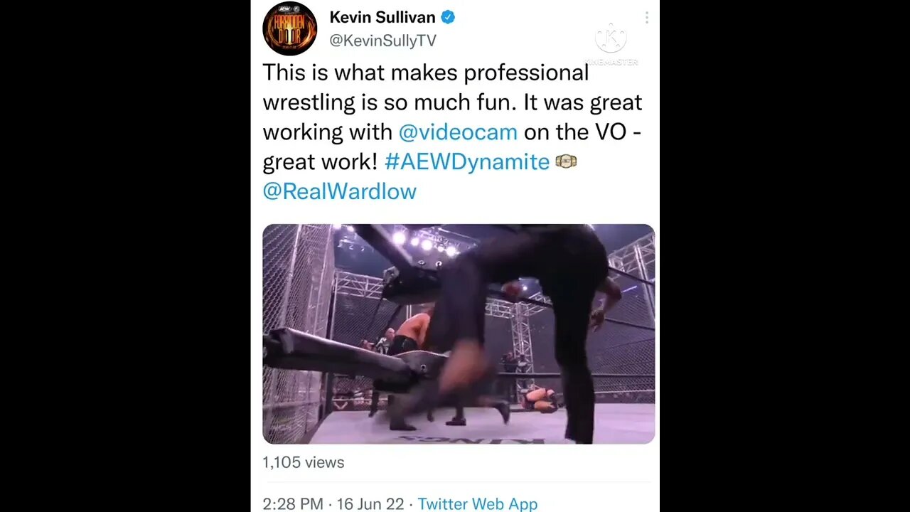 AEW Wrestling "Plaintiffs v. Wardlow!" Yup, Cam voiced it! #voiceover #shorts 💥