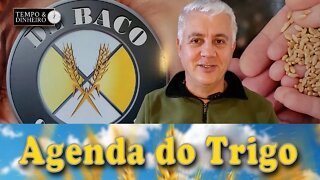 Oferta russa e a liberação dos portos Ucranianos, abastecem o mercado. É um bom momento para...