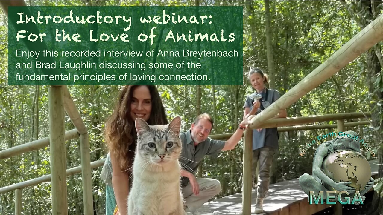 Introductory webinar: For the Love of Animals