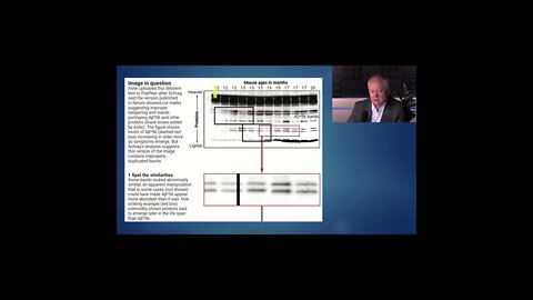 This is What Scientific Fraud Looks Like