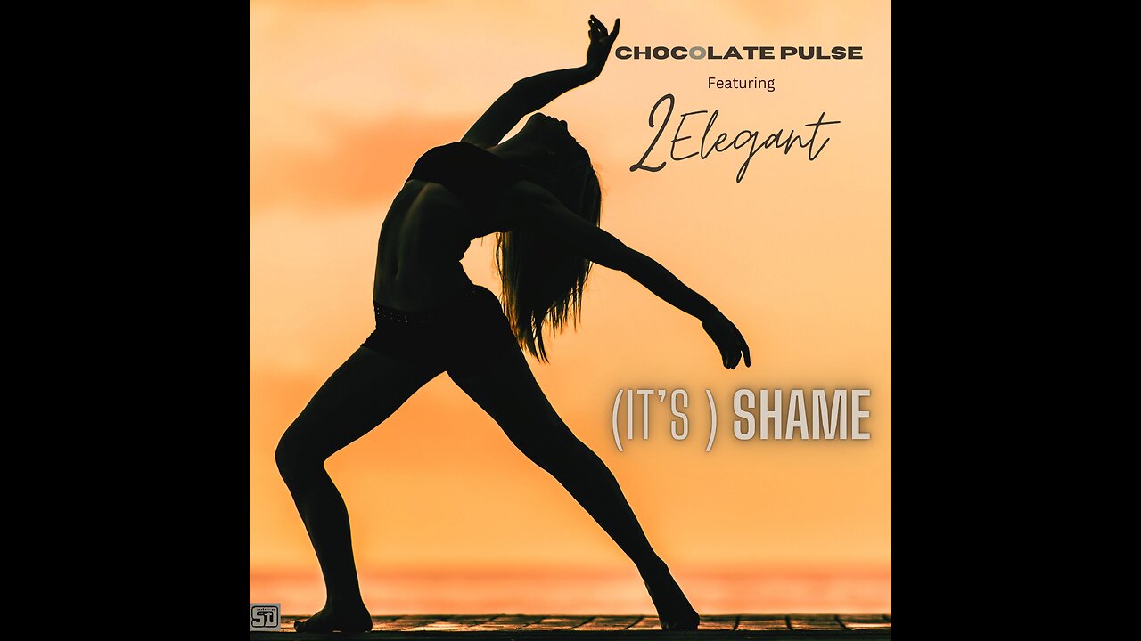 SOUNDOCTRINE Feat 2 Elegant "(IT'S A) SHAME" (Lyric Video)