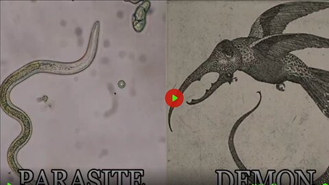 Parasites Are Demons?