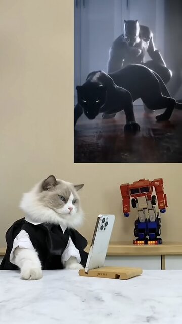 Wow! Robosen has got some 😎 moves!