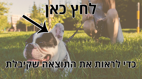 הקשר שלכם נבנה בקצב איטי