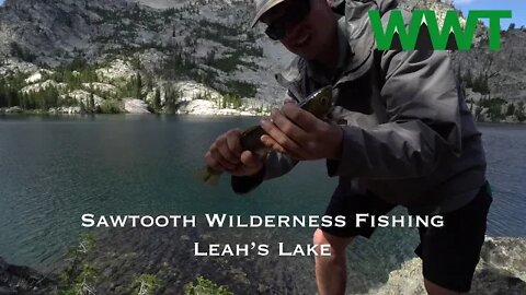 Sawtooth Wilderness Fishing