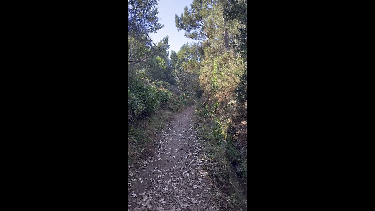 Levada walk