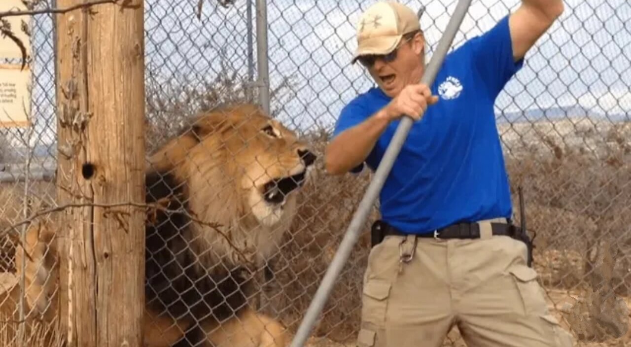 Damn Nature You Scary | Funny Scary Animal Encounters