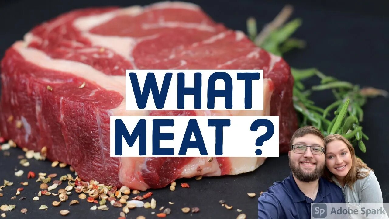 Alive ! -What Meat 12-11-21