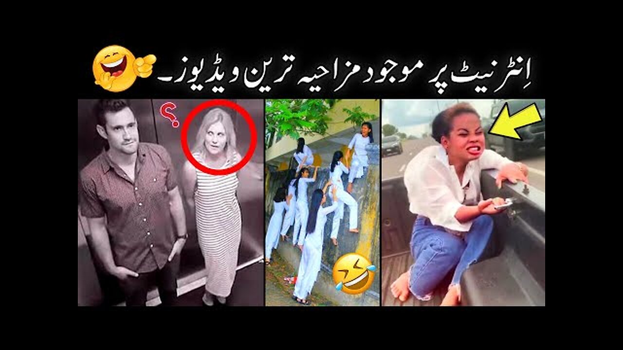 Most Funny Videos On Internet 😅 - funny videos try not to laugh 😜