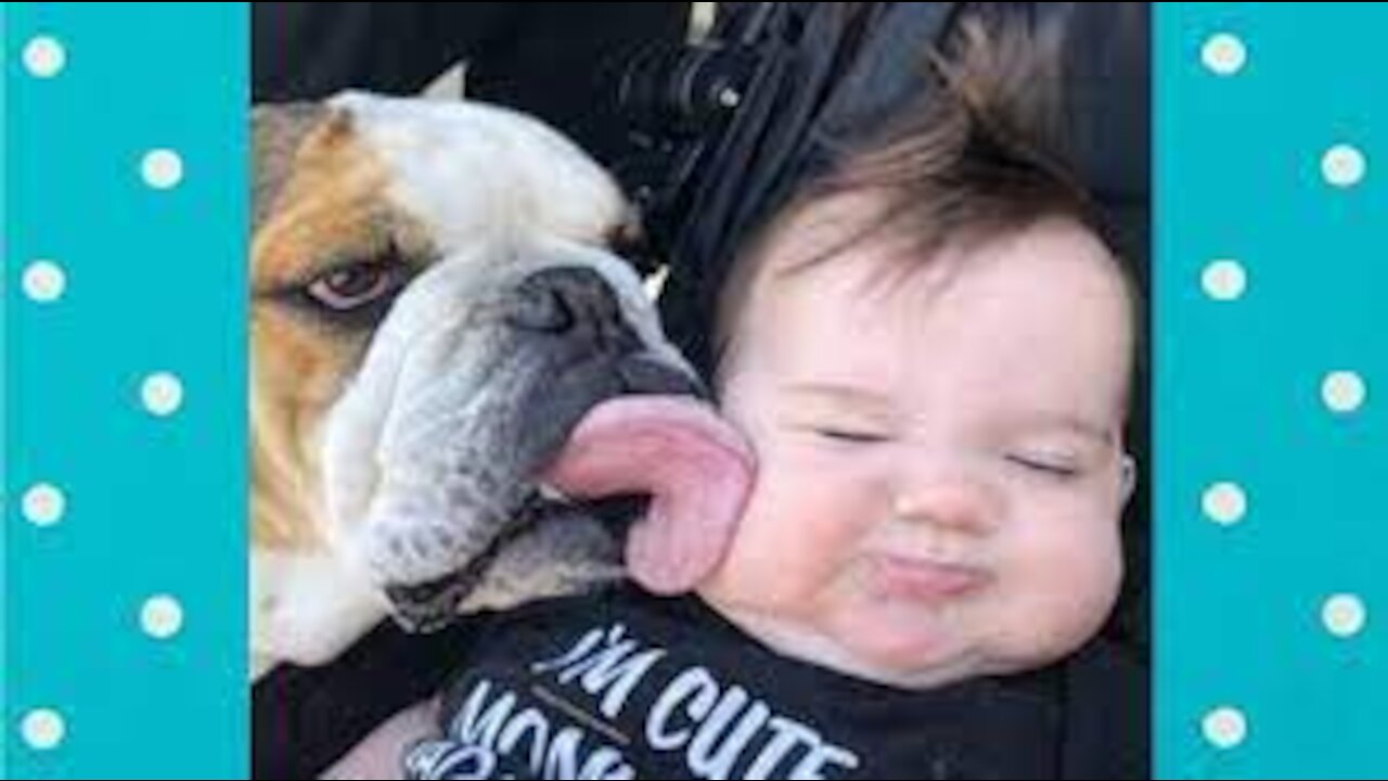 cute babies doing funny things kissing dogs