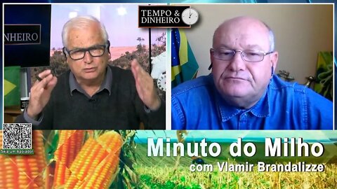 Milho sente pressão do avanço da colheita