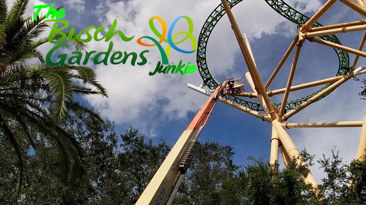 Busch Gardens Animal Ambassador Open House and Cheetah Hunt Construction Update Oct 2021