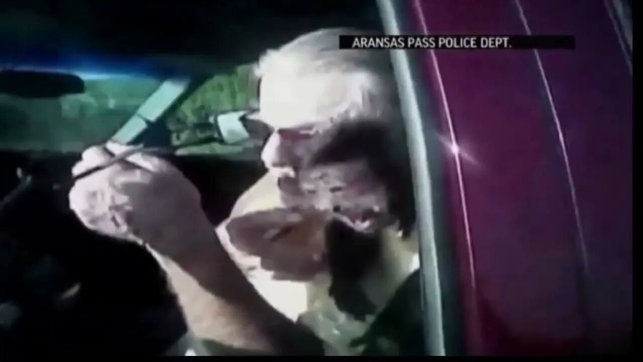 police hands ticket monkey monkey in the back of the car bites the officer hillarious