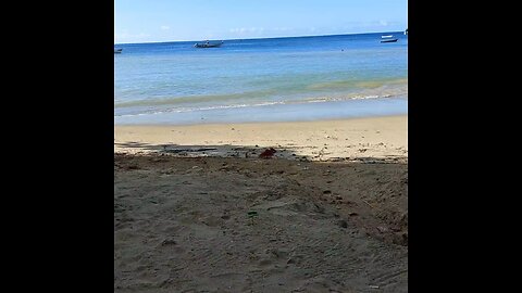 Chilling on the beach in Tobago